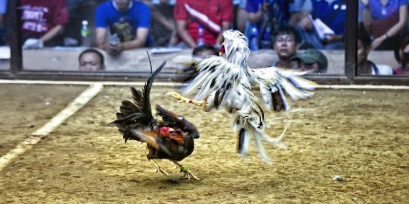 58win ﻿đăng nhập lô đề uy tín