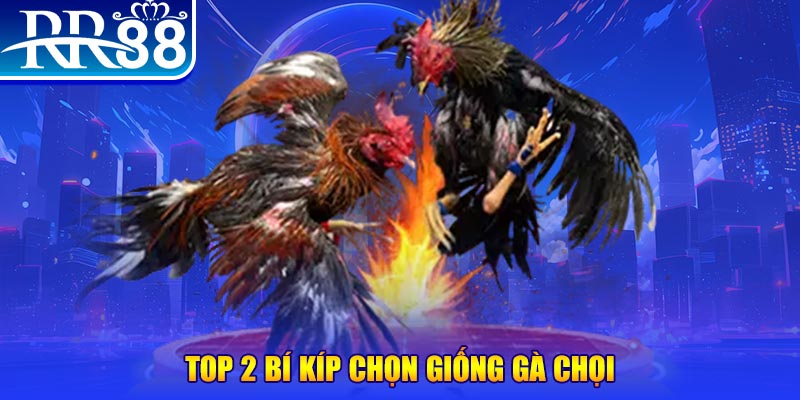 58win bắn cá h5