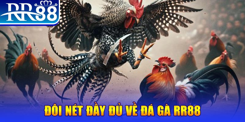 58win gà chọi hoà phong