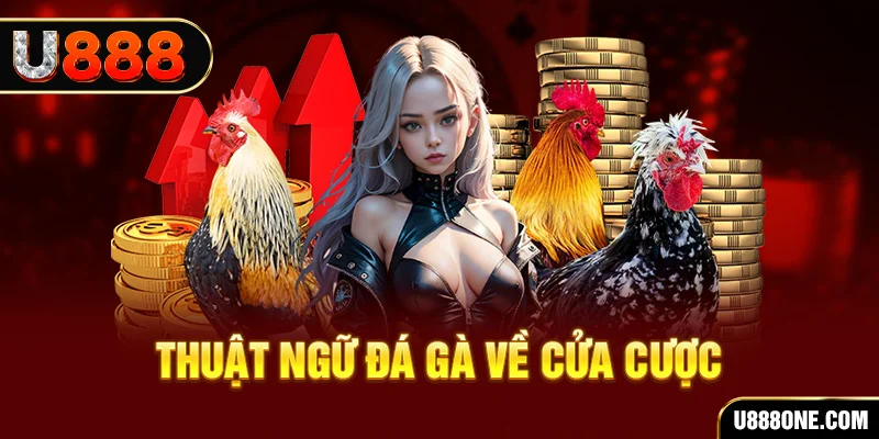 58win da ga 88