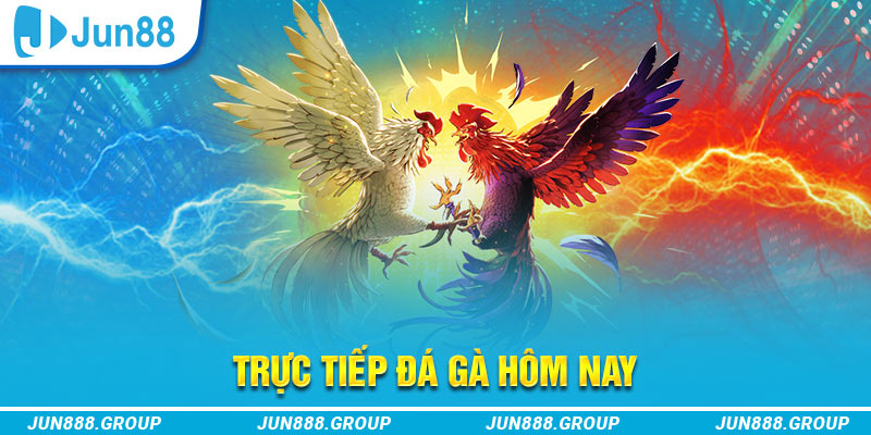 58win trực tiếp đá gà thomo