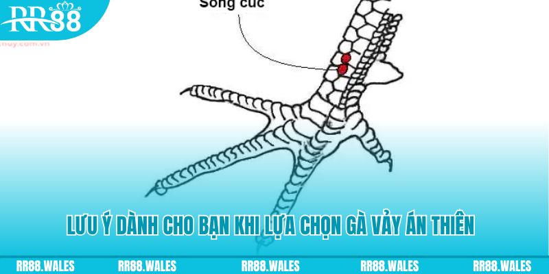 58win xổ số khánh hòa