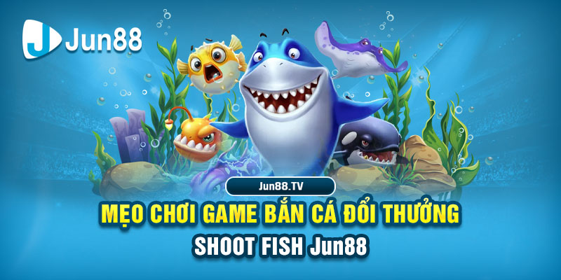 58win tải game đánh bài online về máy tính