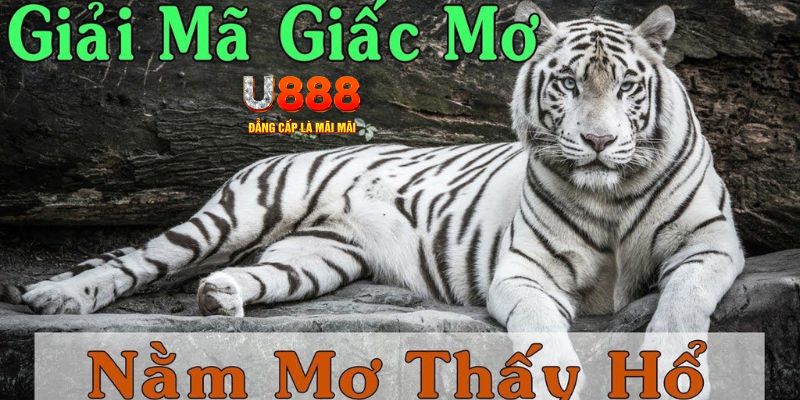 58win Bài Poker Joker