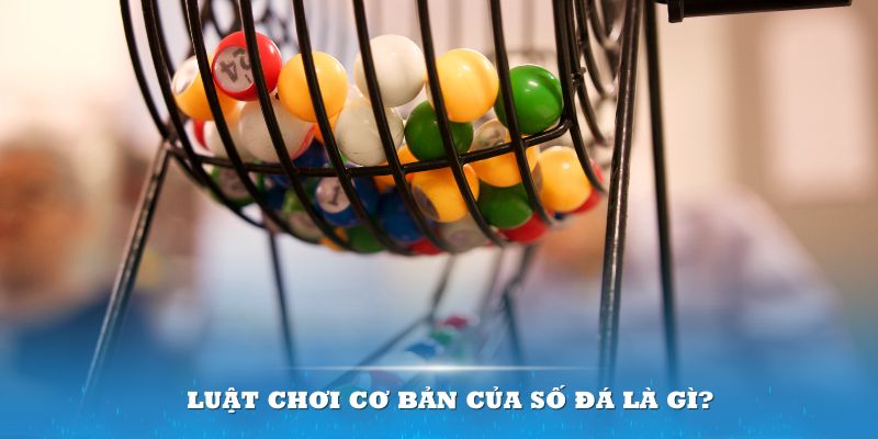 58win Đĩa màu ace