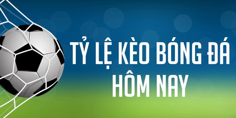 58win ÁT CHỦ MÁY HOA QUẢ THẦN TÀI