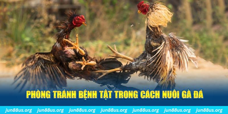 58win natural” trong baccarat nghĩa là gì？