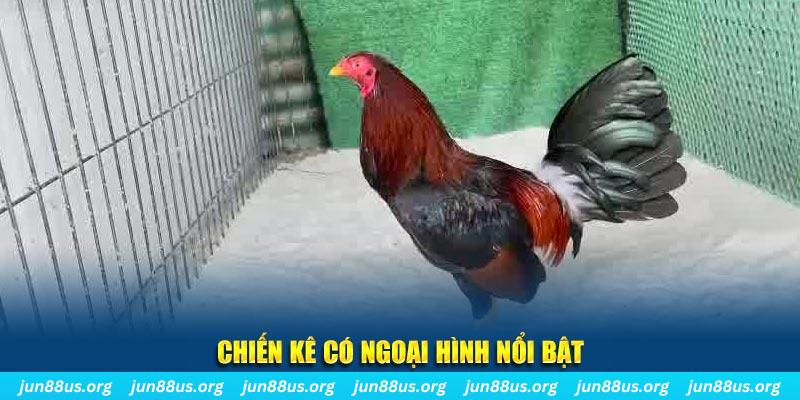58win nhạc slot là gì